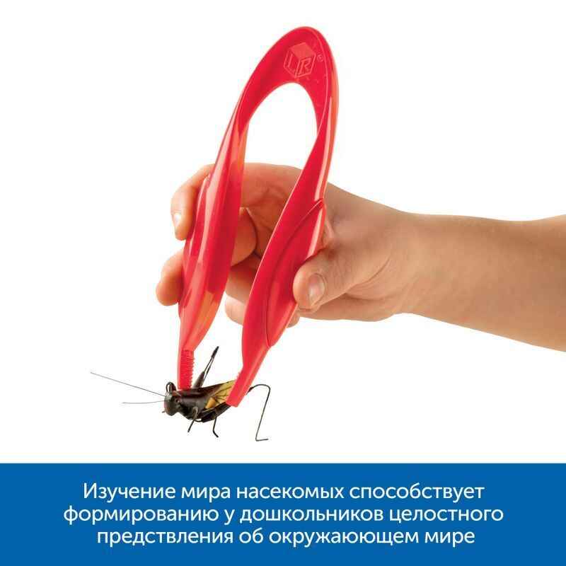 Изучаем мир насекомых, арт. MZS0043, производитель Learning Resources, ISBN 200-7-36723-140-3, № 12