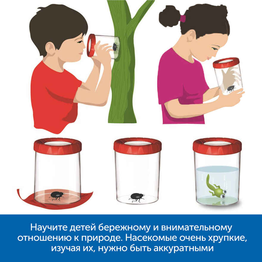 Изучаем мир насекомых, арт. MZS0043, производитель Learning Resources, ISBN 200-7-36723-140-3, № 5