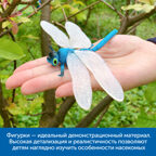 Изучаем мир насекомых, арт. MZS0043, производитель Learning Resources, ISBN 200-7-36723-140-3, № 9