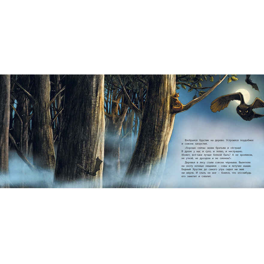 Хочу быть храбрым! Нут Х. Вот так история!, производитель ЭНАС-КНИГА , ISBN 978-5-91921-558-5, № 5