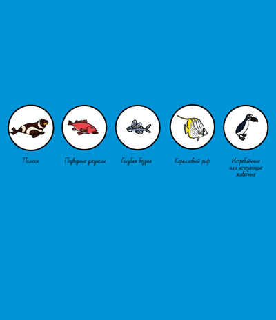 Океаны. Найди и покажи, производитель Клевер (Clever) , ISBN 978-5-91982-419-0№ 2