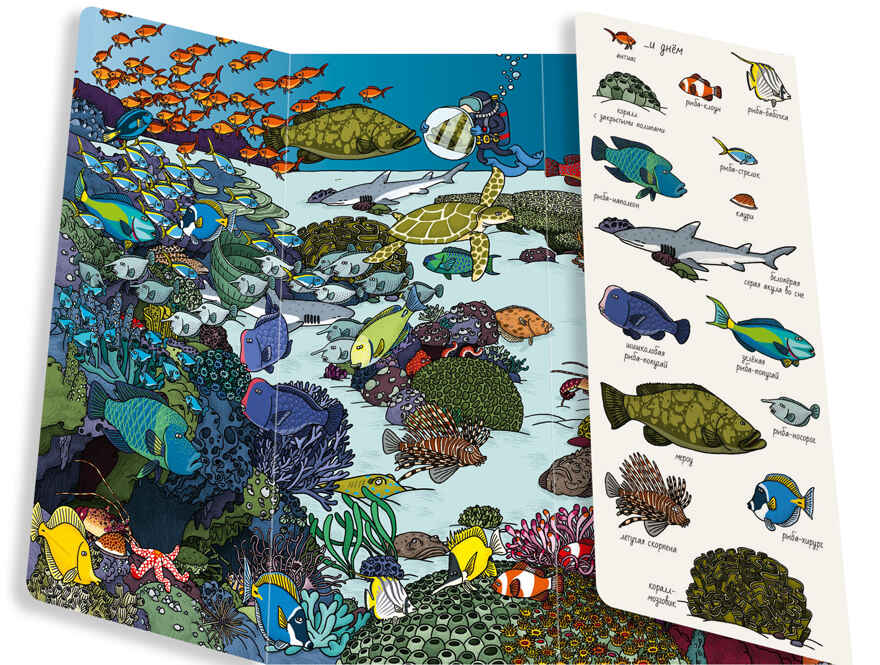 Океаны. Найди и покажи, производитель Клевер (Clever) , ISBN 978-5-91982-419-0, № 6