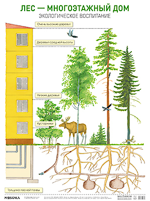Плакат. Лес — многоэтажный дом, производитель МОЗАИКА-СИНТЕЗ , ISBN 978-5-43150-641-3, № 1
