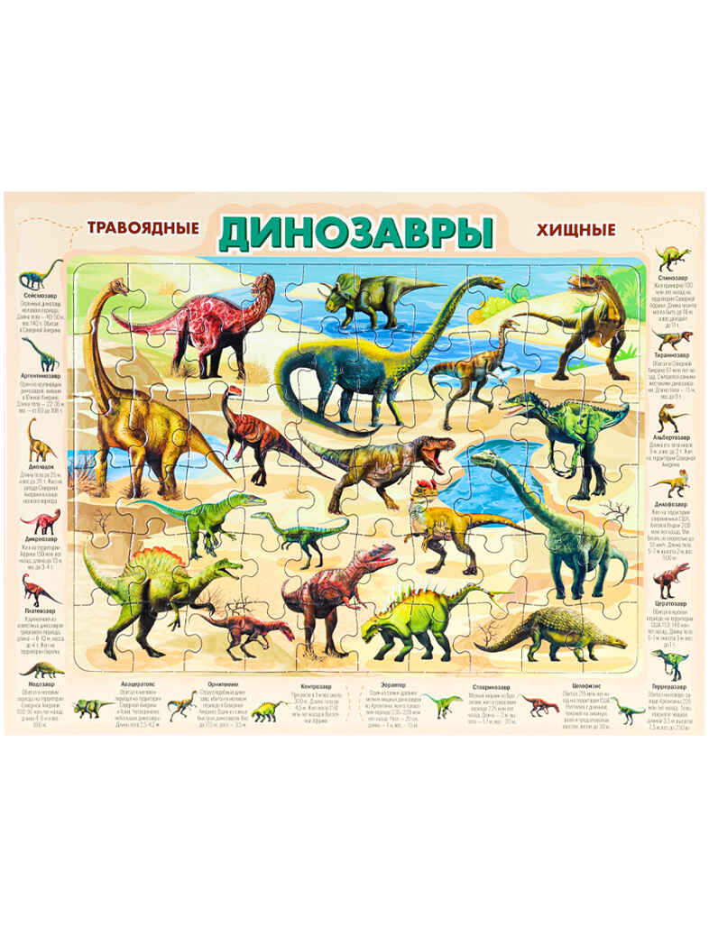 Пазл-рамка 60 эл. Динозавры, арт. П60-8736, производитель Рыжий кот, ISBN 468-0-08848-736-6, № 1