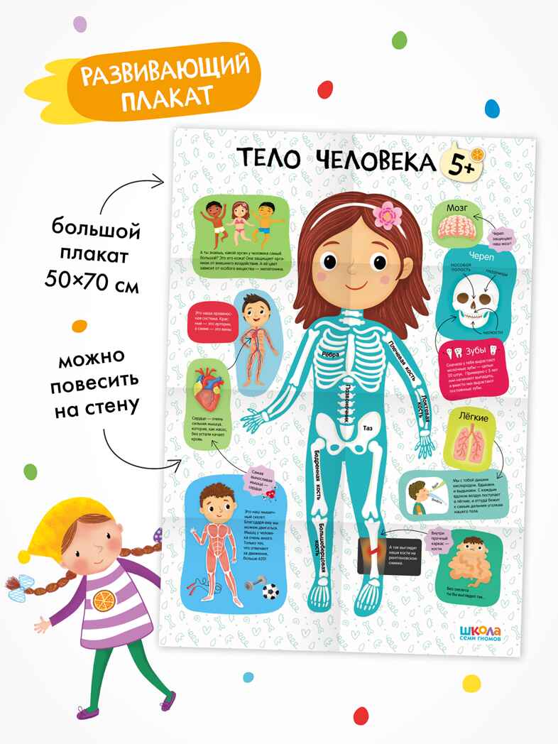 Годовой базовый курс. Комплект 5+ (Школа Семи Гномов. Базовый курс), 12 книг + развивающие материалы, производитель МОЗАИКА kids , ISBN 978-5-43154-058-5, № 15