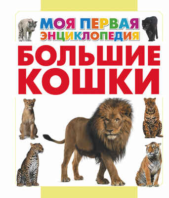 Большие кошки, производитель АСТ , ISBN 978-5-17089-977-7