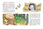 Волшебная книга сказок. Илл. Тони Вульфа, производитель АСТ , ISBN 978-5-17162-990-8, № 2
