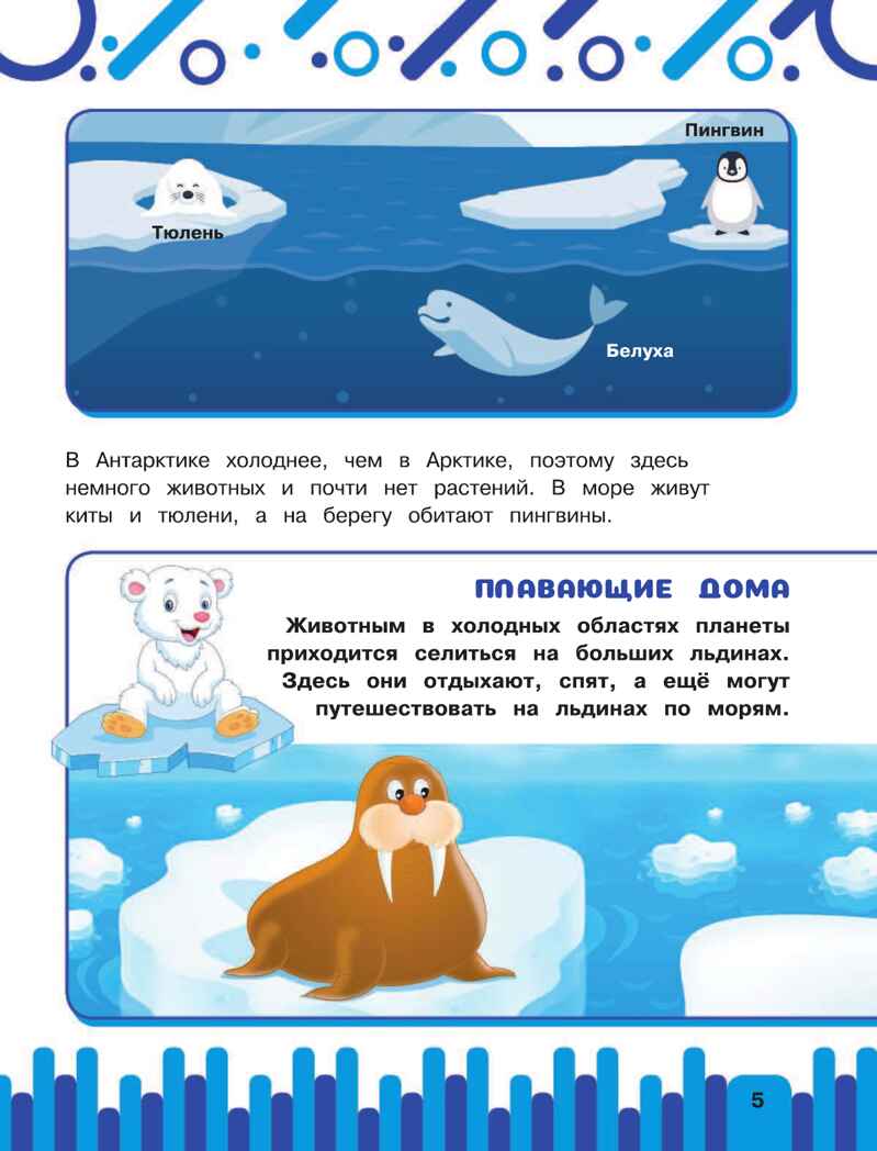 Животные. Первая энциклопедия с дополненной реальностью, производитель АСТ , ISBN 978-5-17118-222-9, № 3