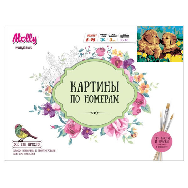 Картины по номерам Щенячья радость 30х40, 14 красок (Molly), арт.EX5001, производитель СильверТойз, ISBN 692-0-14087-196-1, № 3