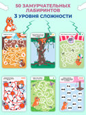 IQ Box. КОТО-лабиринты, арт. 4544, производитель Дрофа-медиа, ISBN 463-0-19687-734-4, № 2