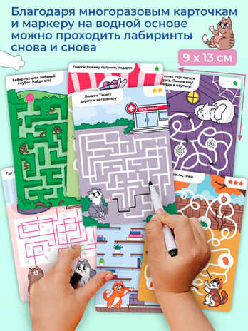 IQ Box. КОТО-лабиринты, арт. 4544, производитель Дрофа-медиа, ISBN 463-0-19687-734-4№ 4