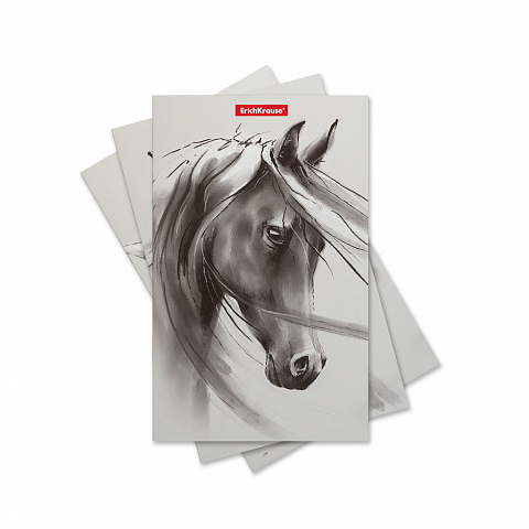 Записная книга на скобе Wild Horse, 112х181 мм, 32 листа, в точку, арт. 49816, производитель ErichKrause® (Эрих Краузе), ISBN 460-1-92149-816-5, № 2