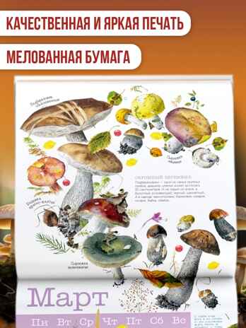 Календарь Грибы 2026 год, производитель АСТ , ISBN 978-5-17173-963-8№ 3