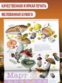 Календарь Грибы 2026 год, производитель АСТ , ISBN 978-5-17173-963-8, № 3