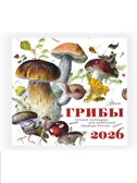 Календарь Грибы 2026 год, производитель АСТ , ISBN 978-5-17173-963-8, № 4