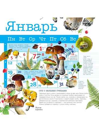 Календарь Грибы 2026 год, производитель АСТ , ISBN 978-5-17173-963-8№ 5