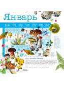 Календарь Грибы 2026 год, производитель АСТ , ISBN 978-5-17173-963-8, № 5