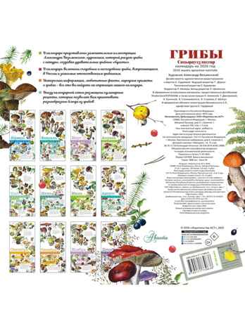Календарь Грибы 2026 год, производитель АСТ , ISBN 978-5-17173-963-8№ 6