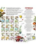Календарь Грибы 2026 год, производитель АСТ , ISBN 978-5-17173-963-8, № 6