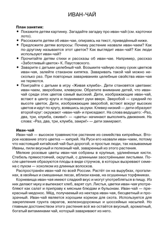 Лесные и полевые цветы. Наглядно-дидактический материал в папках ФГОС, производитель Стрекоза , ISBN 978-5-99515-446-4№ 4