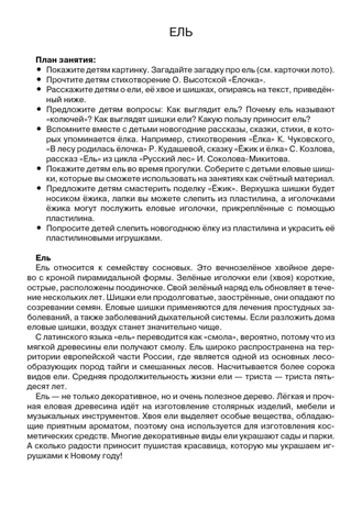 Листья и плоды. Наглядно-дидактический материал в папках ФГОС, производитель Стрекоза , ISBN 978-5-99515-447-1№ 4