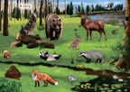 Наклейки с заданиями. Мои первые животные, производитель Робинс , ISBN 978-5-43660-813-6, № 10