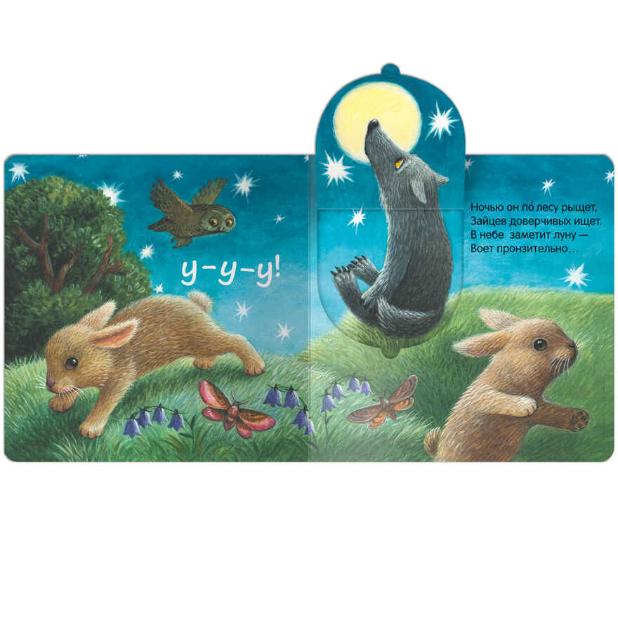Книжки с окошками. Набор из 6 книг, производитель МОЗАИКА kids , ISBN 978-5-43153-191-0, № 3