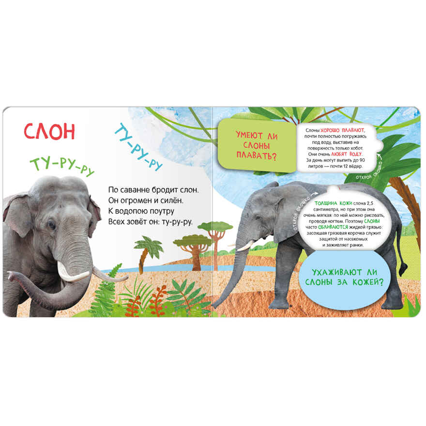 Книжки с окошками. Набор из 6 книг, производитель МОЗАИКА kids , ISBN 978-5-43153-191-0, № 23