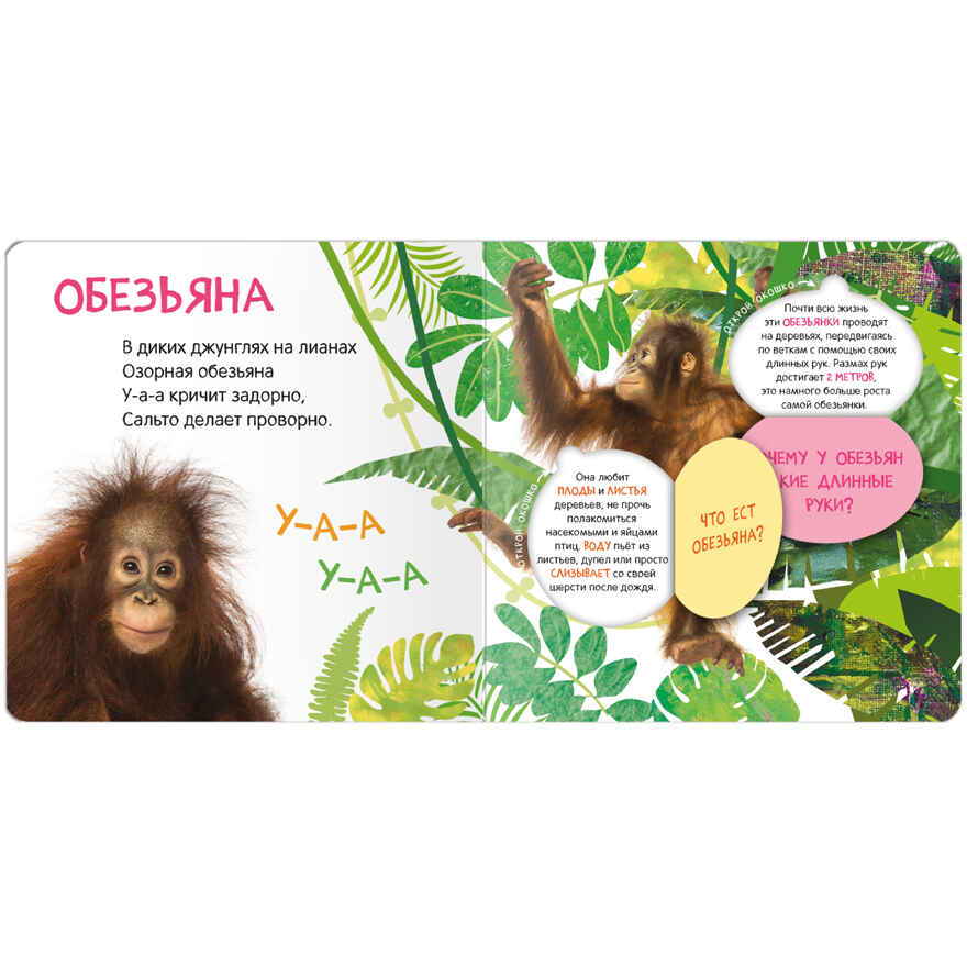Книжки с окошками. Набор из 6 книг, производитель МОЗАИКА kids , ISBN 978-5-43153-191-0, № 24