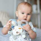 Игрушка-погремушка Uviton мягкая Кролик серый Арт 0610, производитель Uviton, ISBN 465-7-78025-114-4, № 8