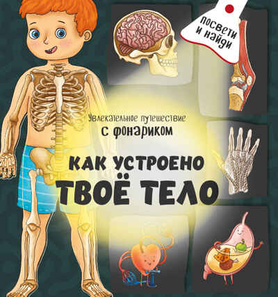 Книжка с фонариком Как устроено твое тело, арт. 9785907664067, производитель BimBiMon (БимБиМон), ISBN 978-5-90766-406-7№ 1