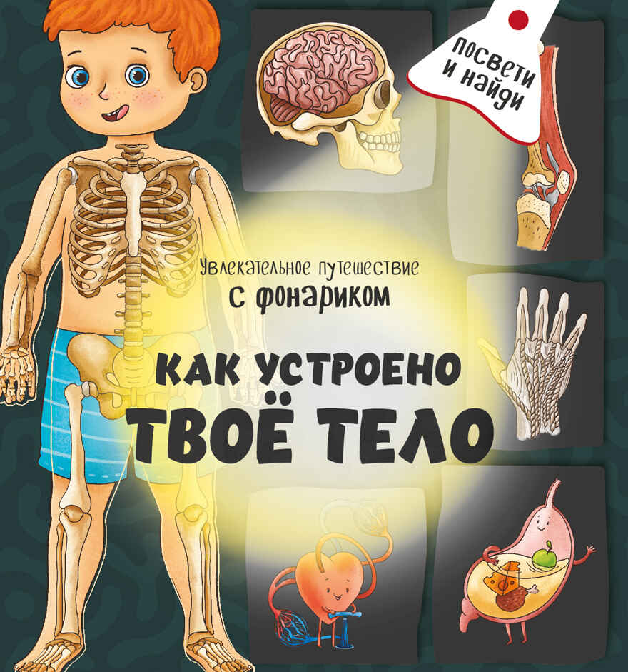Книжка с фонариком Как устроено твое тело, арт. 9785907664067, производитель BimBiMon (БимБиМон), ISBN 978-5-90766-406-7, № 1