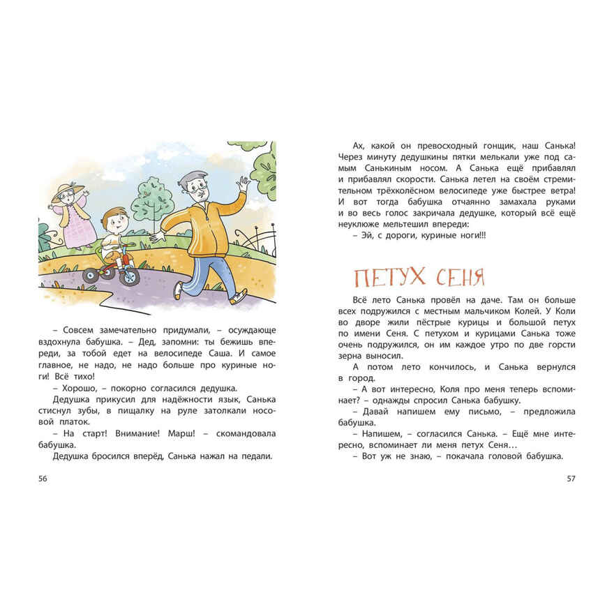 Шуршики и другие истории про Саньку : рассказы, производитель ЭНАС-КНИГА , ISBN 978-5-00198-357-6, № 4