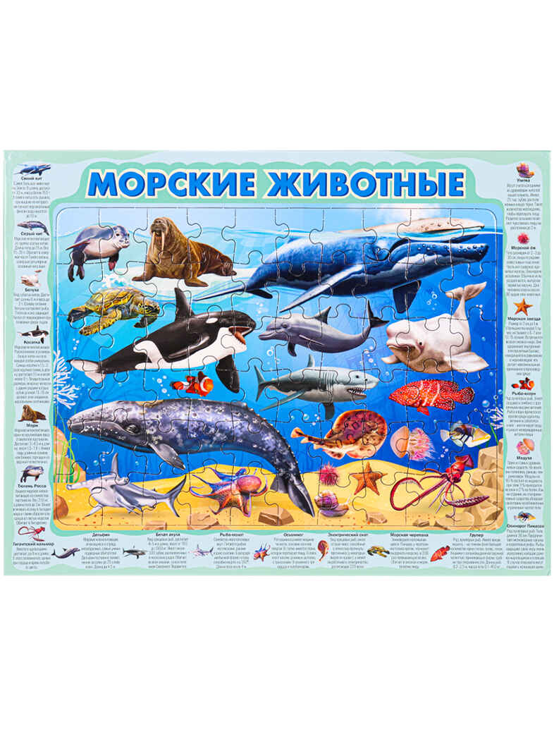 Пазл-рамка 60 эл. Морские животные, арт. П60-8739, производитель Рыжий кот, ISBN 468-0-08848-739-7, № 1