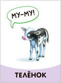Развивающие карточки. Набор 1+, производитель МОЗАИКА kids , ISBN 978-5-43153-665-6, № 2
