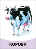 Развивающие карточки. Набор 1+, производитель МОЗАИКА kids , ISBN 978-5-43153-665-6, № 16