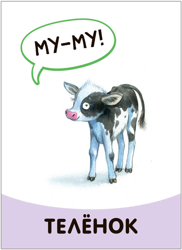 Развивающие карточки. Набор из 5, производитель МОЗАИКА kids , ISBN 978-5-43153-666-3, № 12