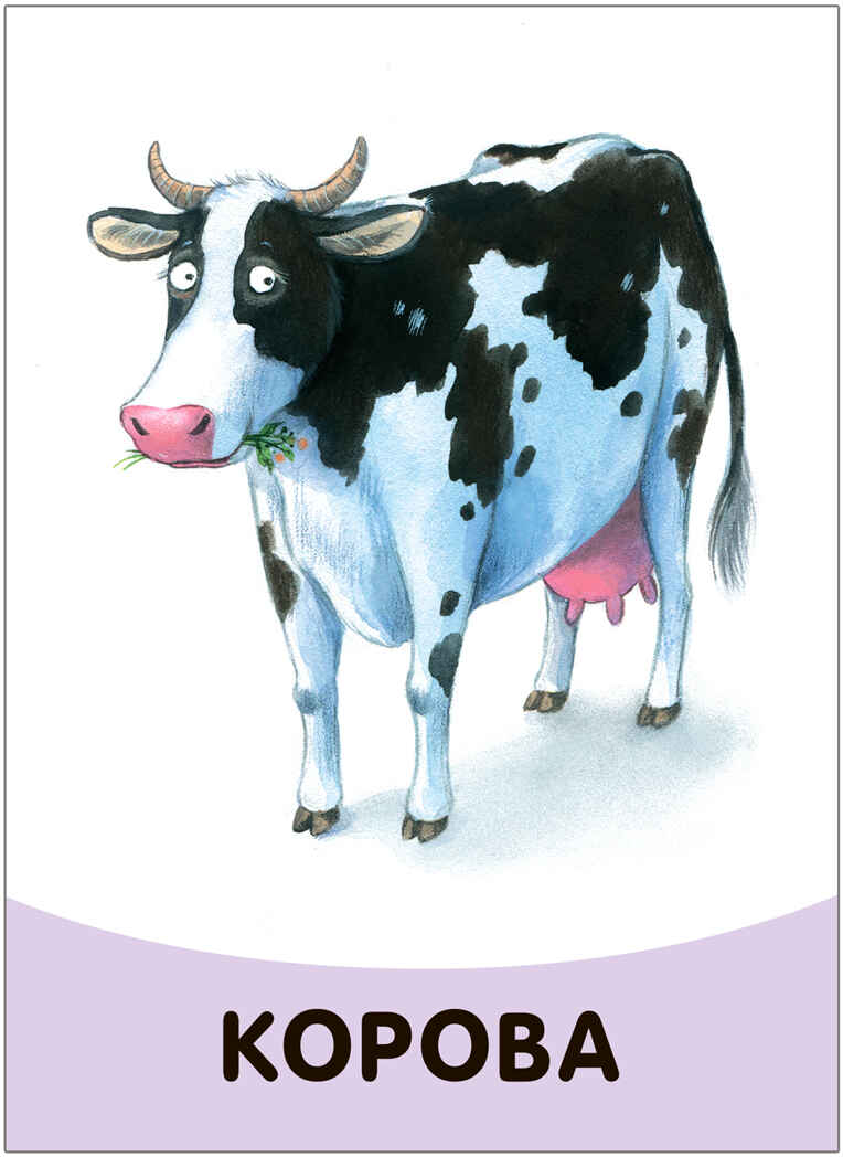 Развивающие карточки. Набор из 5, производитель МОЗАИКА kids , ISBN 978-5-43153-666-3, № 13