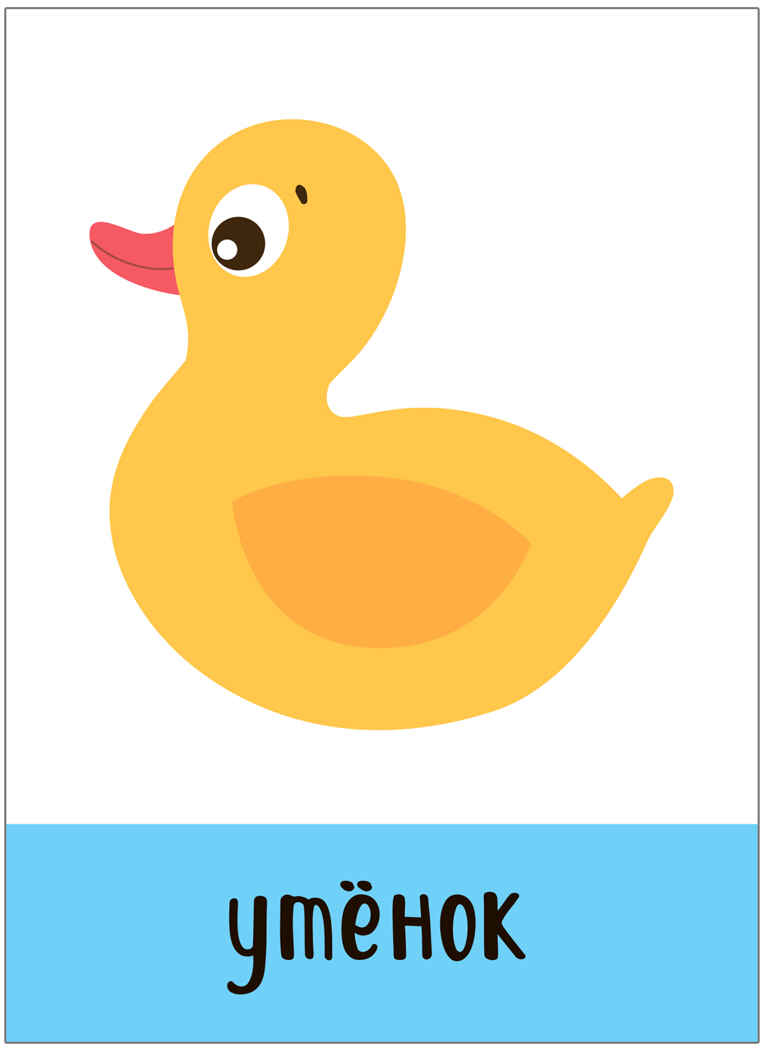 Развивающие карточки. Набор из 5, производитель МОЗАИКА kids , ISBN 978-5-43153-666-3, № 17