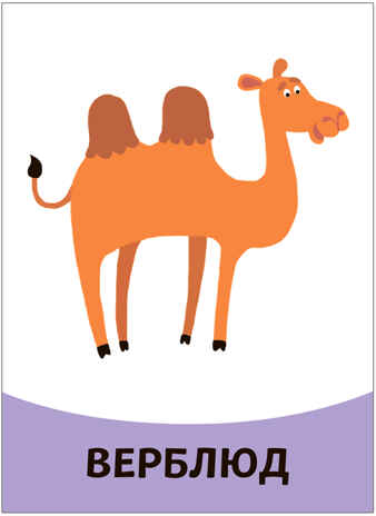 Развивающие карточки. Набор из 5, производитель МОЗАИКА kids , ISBN 978-5-43153-666-3№ 4