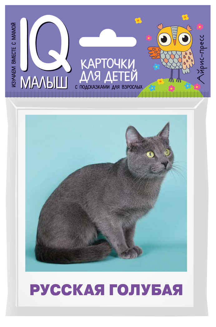 Умный малыш. Породы кошек. Набор карточек для детей. Малунова М.В. IQ малыш, производитель Айрис-пресс , ISBN 978-5-81126-804-7, № 1