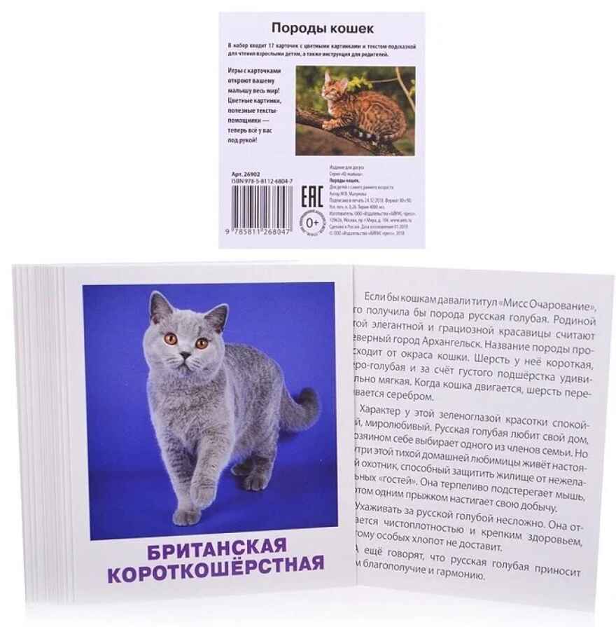 Умный малыш. Породы кошек. Набор карточек для детей. Малунова М.В. IQ малыш, производитель Айрис-пресс , ISBN 978-5-81126-804-7, № 2
