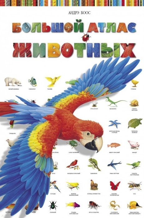 Большой Атлас животных, производитель Стрекоза , ISBN 978-5-99513-703-0, № 1
