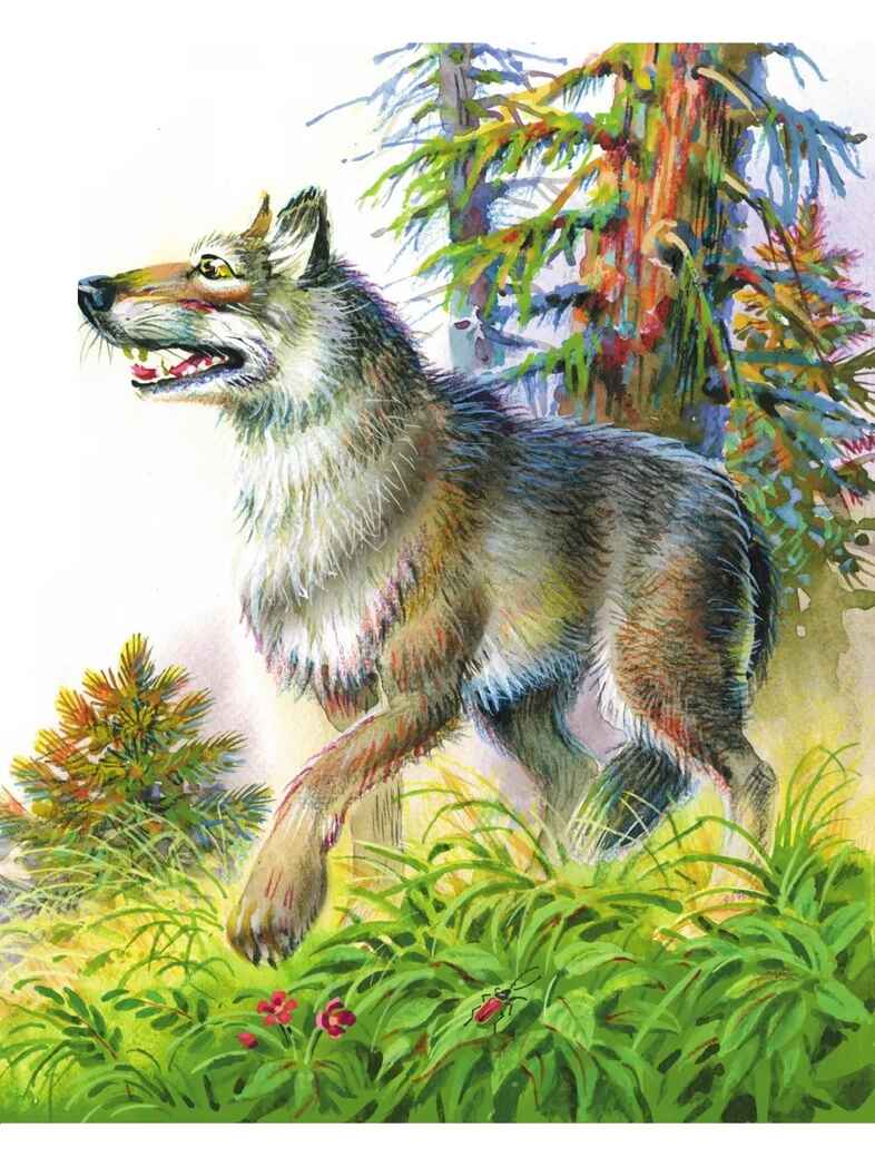 Лучшие сказки и рассказы для детей (ил. В. Канивца). Толстой Л.Н. Лучшие книги для детей, производитель Эксмо , ISBN 978-5-04107-577-4, № 7