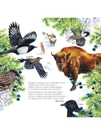 Календарь живой природы с голосами животных 2026 год, производитель АСТ , ISBN 978-5-17173-956-0№ 7