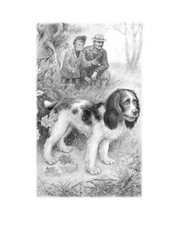 Сказки и рассказы о животных, производитель АСТ , ISBN 978-5-17164-687-5№ 5