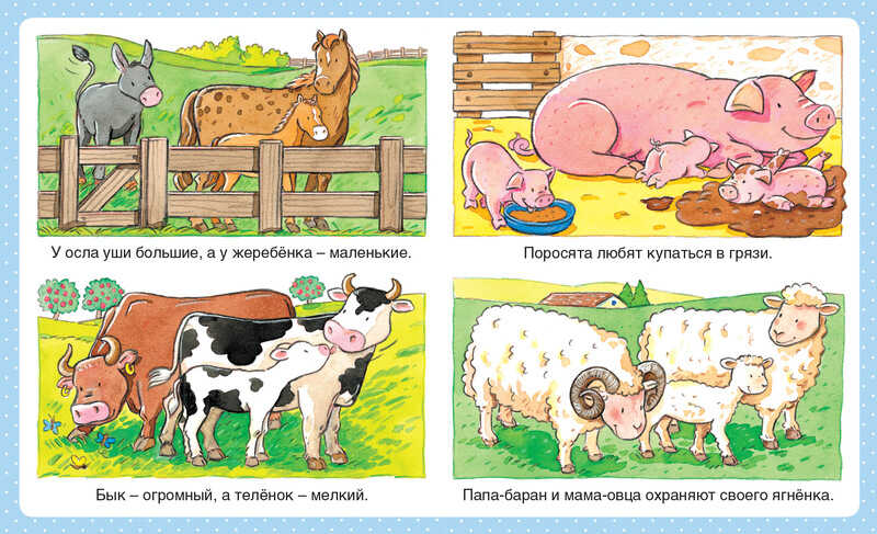 Животные. Бомон Э. Энциклопедия для малышей, производитель Махаон , ISBN 978-5-38909-322-5, № 2