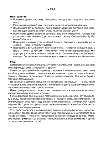 Птицы. Наглядно-дидактический материал в папках ФГОС, производитель Стрекоза , ISBN 978-5-99515-451-8№ 4