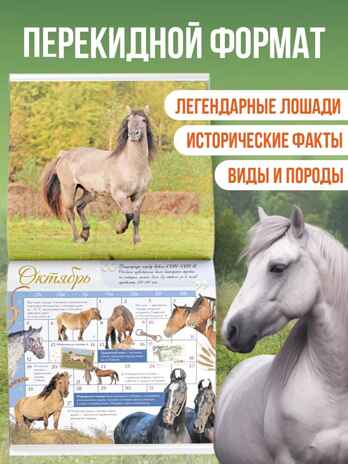 Календарь Лошади мира 2026 год, производитель АСТ , ISBN 978-5-17173-957-7№ 2
