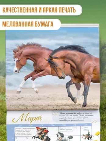 Календарь Лошади мира 2026 год, производитель АСТ , ISBN 978-5-17173-957-7№ 3